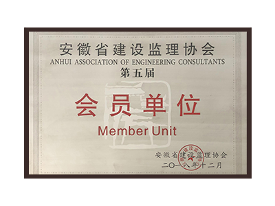 漯河安徽省建设监理协会